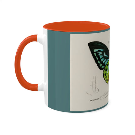 Green Birdwing by Charles Dessalines D' Orbigny Colorful Mugs, 11oz