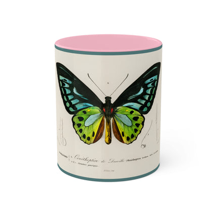 Green Birdwing by Charles Dessalines D' Orbigny Colorful Mugs, 11oz