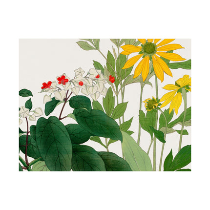 Clerodendrum & Rudbeckia by Tanigami Kônan Premium Matte Horizontal Posters