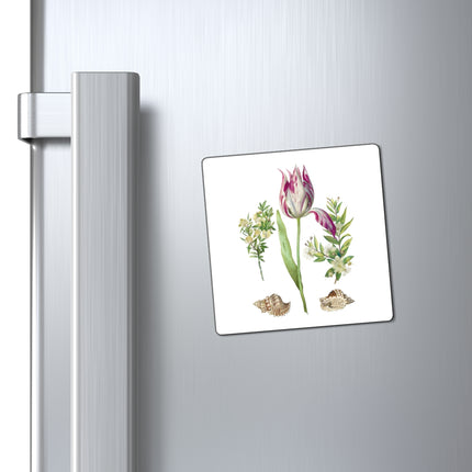 Tulip, Branches of Myrtle, and Shells by Maria Sibylla Merian Magnets (3 Sizes)