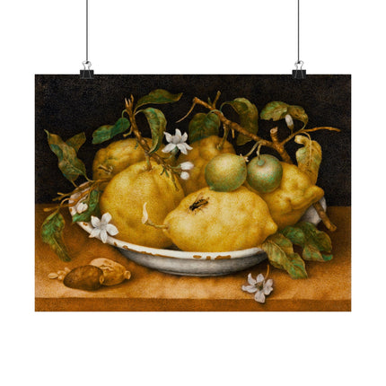 Still Life with Bowl of Citrons by Giovanna Garzoni Matte Horizontal Posters