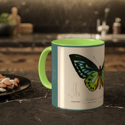 Green Birdwing by Charles Dessalines D' Orbigny Colorful Mugs, 11oz
