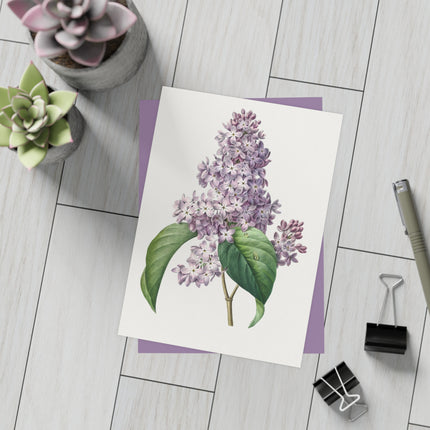 Lilac by Pierre-Joseph Redouté Postcards (envelopes included) - Bundles of 10, 30, 50 Pieces