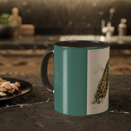 Indian Peafowl by Charles Dessalines D' Orbigny Colorful Mugs, 11oz