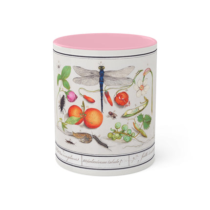 Natural History Ensemble, No. 7 by Anselmus Boëtius de Boodt Colorful Mugs, 11oz