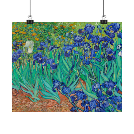 Irises by Vincent Van Gogh Matte Horizontal Posters