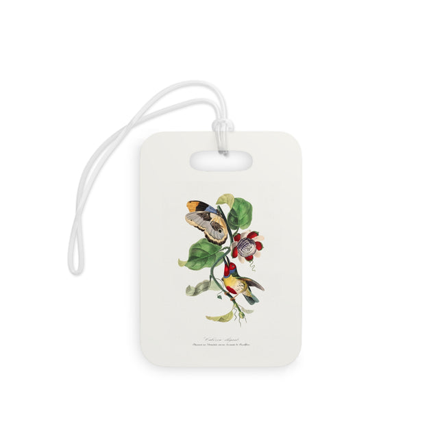Versicolored Barbet by Paul Gervais Luggage Tag – Rectangle & Round