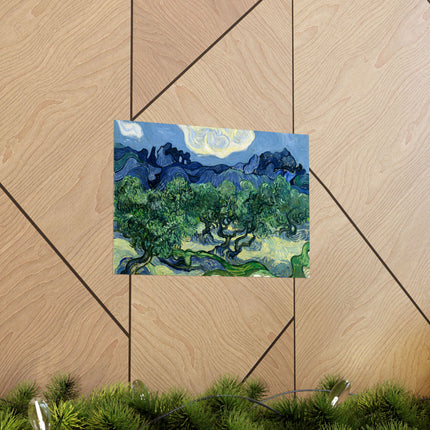Olive Trees by Vincent Van Gogh Matte Horizontal Posters