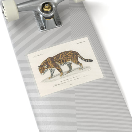 Jaguar by Charles Dessalines D' Orbigny Kiss-Cut Stickers (4 Sizes)