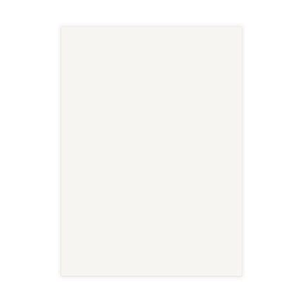 Treecreeper by Paul Gervais Postcards (envelopes included) - Bundles of 10, 30, 50 Pieces