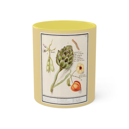 Artichoke, Broad Beans, and Lantern Plant by Anselmus Boëtius de Boodt Colorful Mugs, 11oz