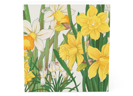 Daffodil by Tanigami Kônan Note Cube