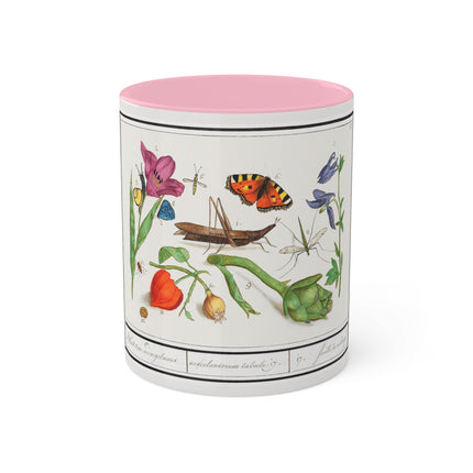 Natural History Ensemble, No. 17 by Anselmus Boëtius de Boodt Colorful Mugs, 11oz