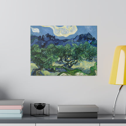 Olive Trees by Vincent Van Gogh Matte Canvas, Stretched, 0.75"