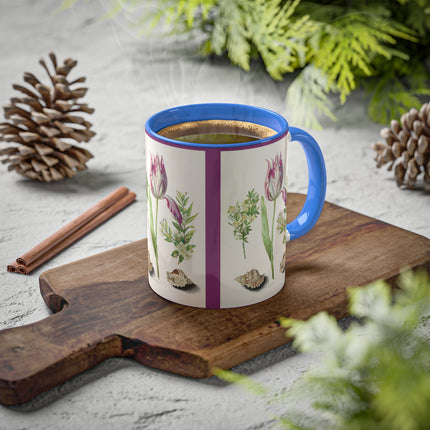 Tulip, Branches of Myrtle and Shells by Maria Sibylla Merian Colorful Mugs, 11oz