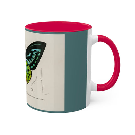 Green Birdwing by Charles Dessalines D' Orbigny Colorful Mugs, 11oz