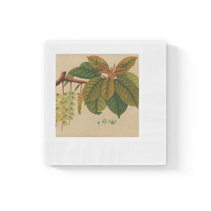 Album of watercolors of Asian fruits and flowers Pl.03 by Anonymous White Coined Napkins