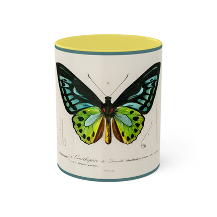 Green Birdwing by Charles Dessalines D' Orbigny Colorful Mugs, 11oz
