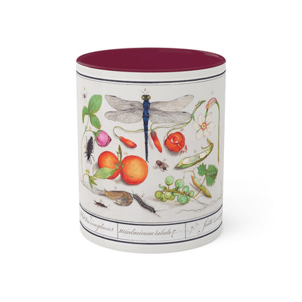 Natural History Ensemble, No. 7 by Anselmus Boëtius de Boodt Colorful Mugs, 11oz