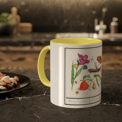 Natural History Ensemble, No. 17 by Anselmus Boëtius de Boodt Colorful Mugs, 11oz