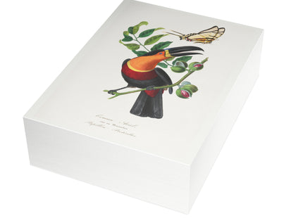 Channel Billed Toucan by Paul Gervais Postcards (envelopes included) - Bundles of 10, 30, 50 Pieces