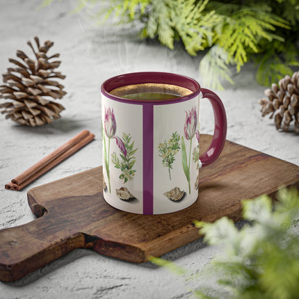 Tulip, Branches of Myrtle and Shells by Maria Sibylla Merian Colorful Mugs, 11oz