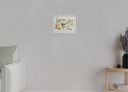 Natural History Ensemble, No. 12 by Anselmus Boëtius de Boodt Matte Canvas, Stretched, 0.75"