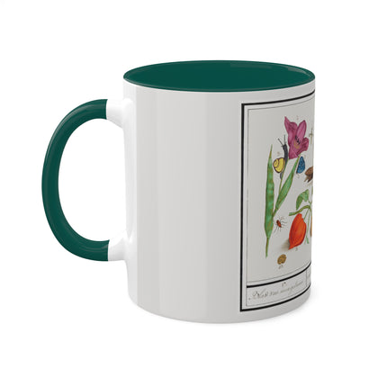 Natural History Ensemble, No. 17 by Anselmus Boëtius de Boodt Colorful Mugs, 11oz
