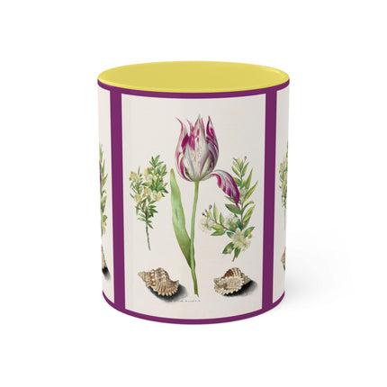 Tulip, Branches of Myrtle and Shells by Maria Sibylla Merian Colorful Mugs, 11oz