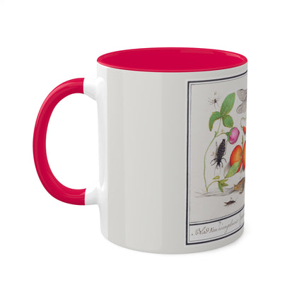 Natural History Ensemble, No. 7 by Anselmus Boëtius de Boodt Colorful Mugs, 11oz