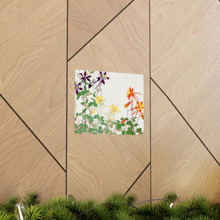 Aquilegia Flower by Tanigami Kônan Premium Matte horizontal posters