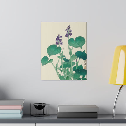 Blooming Hosta by Ohara Koson – Japanese Botanical Elegance