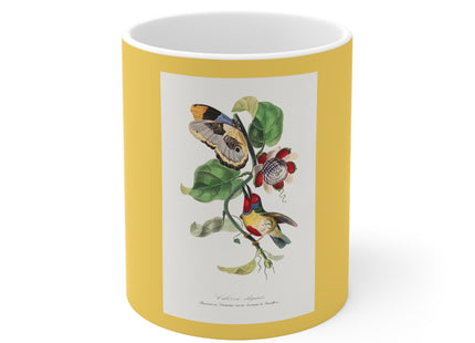 Versicolored Barbet by Paul Gervais Ceramic Mug 11oz