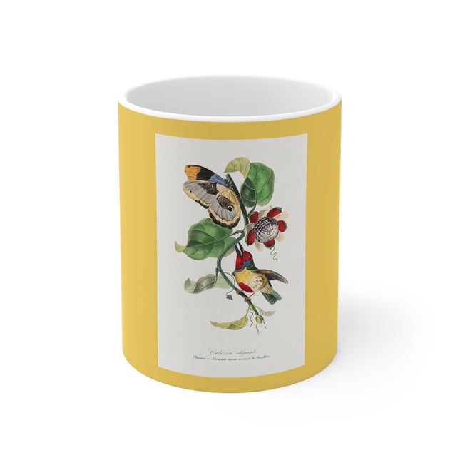 Versicolored Barbet by Paul Gervais Ceramic Mug 11oz