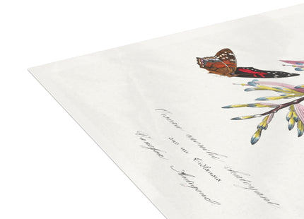 Hummingbird by Paul Gervais Postcards (envelopes included) - Bundles of 10, 30, 50 Pieces
