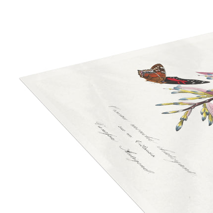 Hummingbird by Paul Gervais Postcards (envelopes included) - Bundles of 10, 30, 50 Pieces