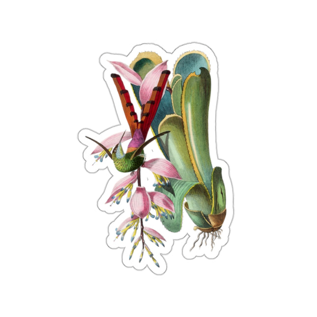 Hummingbird by Paul Gervais Kiss-Cut Stickers (4 Sizes)