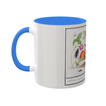 Natural History Ensemble, No. 7 by Anselmus Boëtius de Boodt Colorful Mugs, 11oz
