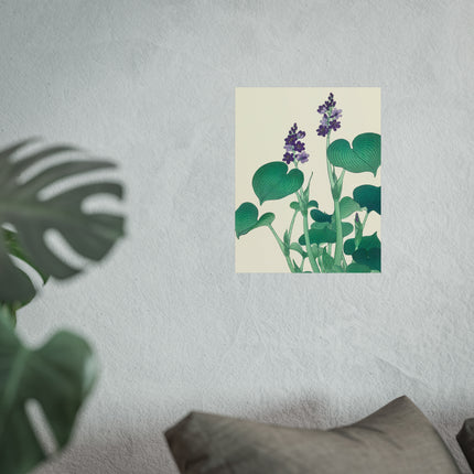 Blooming Hosta by Ohara Koson Fine Art Posters