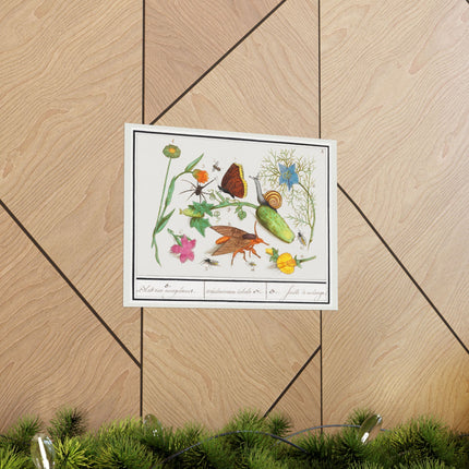 Natural History Ensemble, no. 3 by Anselmus Boëtius de Boodt Matte Horizontal Posters