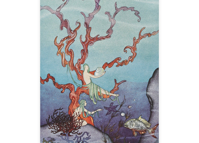Beautiful Shells by Virginia Frances Sterrett Postcards (envelopes included) - Bundles of 10, 30, 50 Pieces