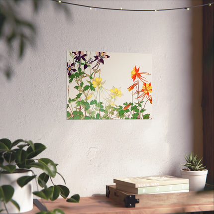 Aquilegia Flower by Tanigami Kônan Premium Matte horizontal posters