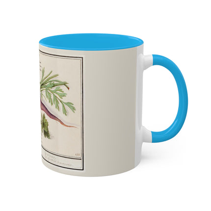 Carrot, Daucus Carota and Red currant, Ribes rubrum by Anselmus Boëtius de Boodt Colorful Mugs, 11oz
