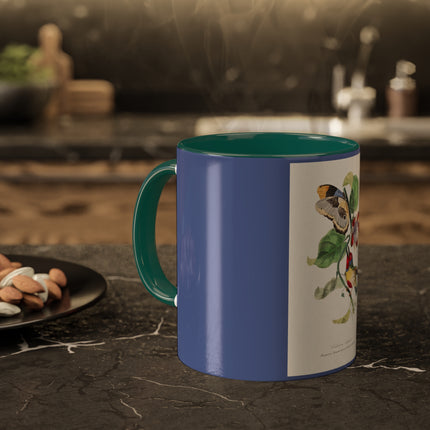 Versicolored Barbet by Paul Gervais Colorful Mugs, 11oz