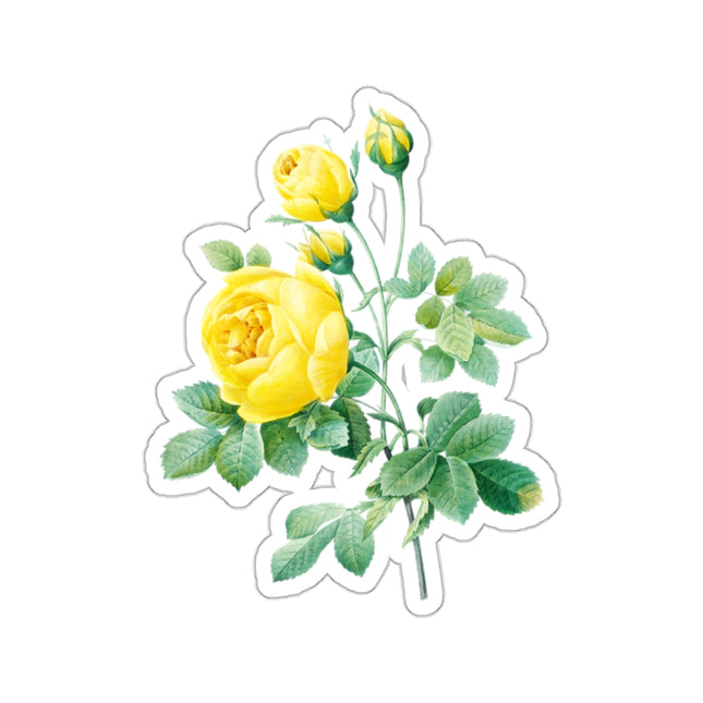 Yellow Rose Botanical Illustration by Pierre-Joseph Redouté Kiss-Cut Stickers (4 Sizes)