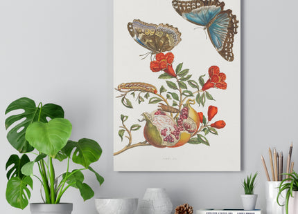 Blue Butterflies and Pomegranate Giclée Art Print
