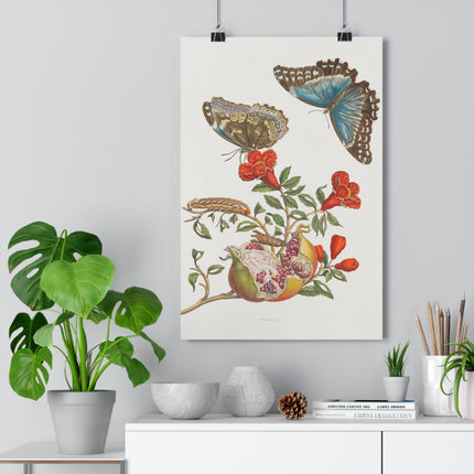 Blue Butterflies and Pomegranate Giclée Art Print