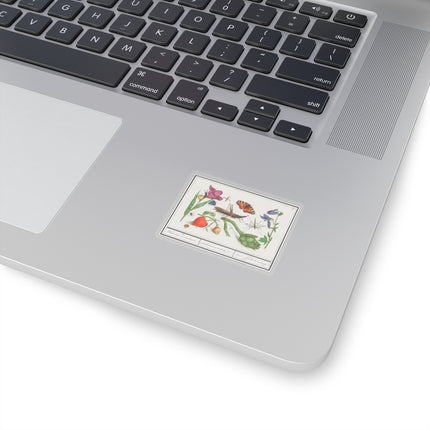 Natural History Ensemble, No. 17 by Anselmus Boëtius de Boodt Kiss-Cut Stickers (4 Sizes)