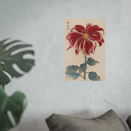 Chrysanthemum Elegance Fine Art Posters