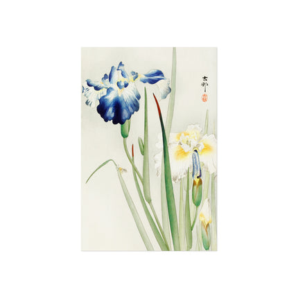 Irises by Ohara Koson Fine Art Posters